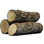 Banished Logs
