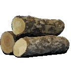 Logs